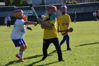 Photos from the BOI Hurling Mini All-Irelands