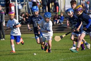 Photos from the BOI Hurling Mini All-Irelands