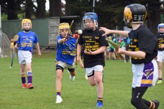 Photos from the BOI Hurling Mini All-Irelands