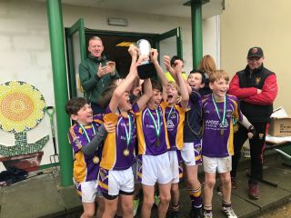 Kilmacud Crokes U10 Hurlers in Liatroim