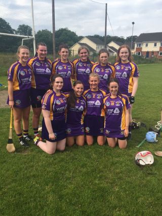 Camogie Girls Win Dunboyne 7's tournament