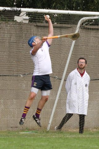 Senior A Hurlers through to Championship Quarter Finals