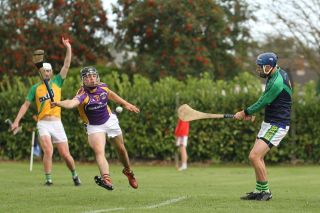 Senior A Hurlers through to Championship Quarter Finals