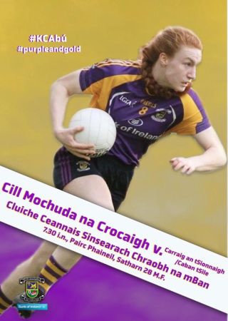 Cluiche Ceannais Sinsearach Chraobh na mBan