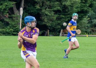 Minor C Hurlers Championship Game Versus Castleknock