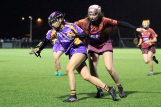 Senior Camogie Team win the Senior 2 County Championship Final