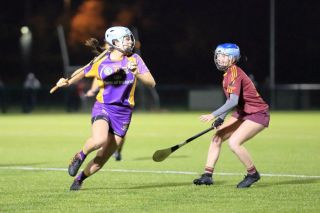 Senior Camogie Team win the Senior 2 County Championship Final