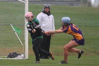 Biter end to Minor A Camogie Championship