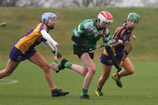 Biter end to Minor A Camogie Championship