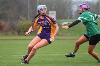 Biter end to Minor A Camogie Championship