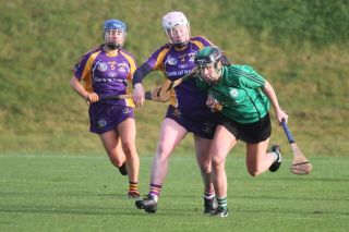 Biter end to Minor A Camogie Championship