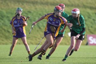 Biter end to Minor A Camogie Championship