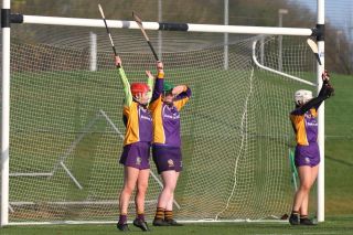 Biter end to Minor A Camogie Championship