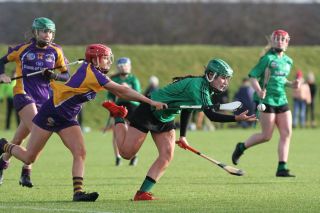 Biter end to Minor A Camogie Championship