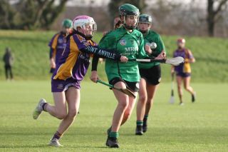 Biter end to Minor A Camogie Championship