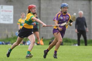 Senior 1 Camogie vs Faughs/Celtic
