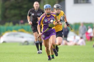 Senior 1 Camogie vs Faughs/Celtic