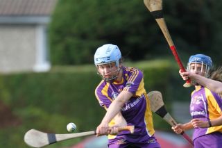 Senior 1 Camogie vs Faughs/Celtic