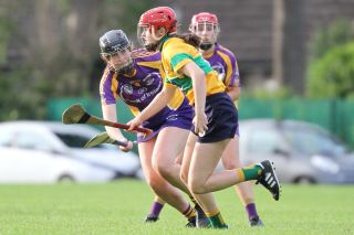 Senior 1 Camogie vs Faughs/Celtic
