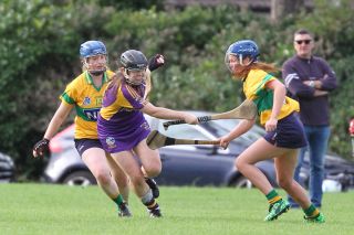Senior 1 Camogie vs Faughs/Celtic