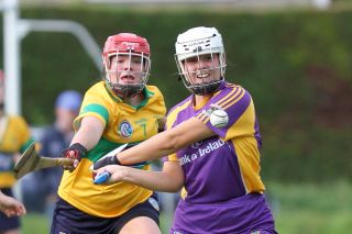 Senior 1 Camogie vs Faughs/Celtic