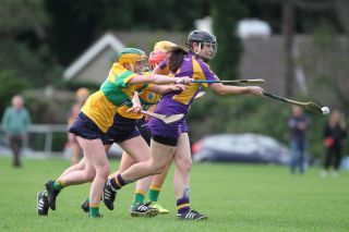 Senior 1 Camogie vs Faughs/Celtic