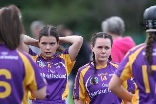 Senior 1 Camogie vs Faughs/Celtic