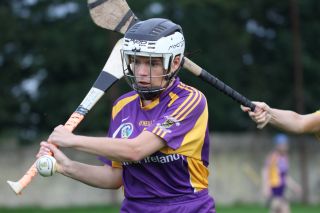 Senior 1 Camogie vs Faughs/Celtic