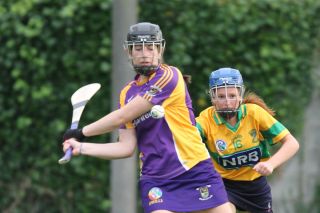 Senior 1 Camogie vs Faughs/Celtic