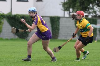 Senior 1 Camogie vs Faughs/Celtic