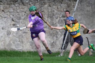 Senior 1 Camogie vs Faughs/Celtic