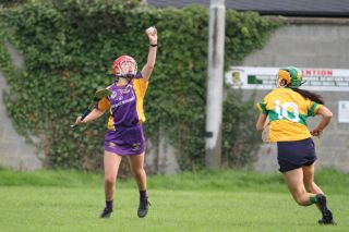Senior 1 Camogie vs Faughs/Celtic