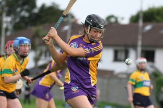 Senior 1 Camogie vs Faughs/Celtic