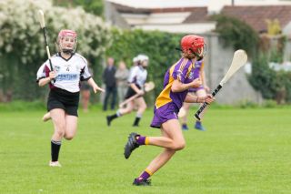 Camogie U15 Division 2 League  Kilmacud Crokes Versus Good Counsel