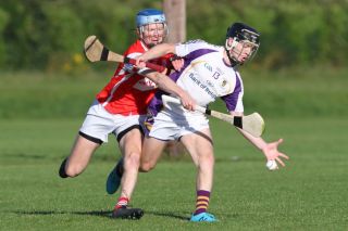 Senior B hurlers vs Cuala