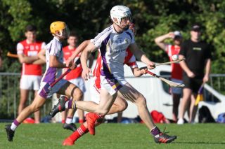 Senior B hurlers vs Cuala
