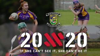 Crokes Beyond 20x20   - If She Can't See It