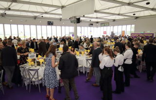 Punchestown  Revisited 