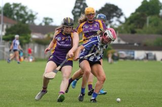 Senior 1 vs Ballyboden in Camogie Go-Ahead