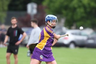 Senior 1 vs Ballyboden in Camogie Go-Ahead
