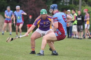 Go Ahead Adult Hurling League Division One South vs St Naomh Olaf