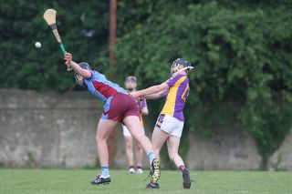 Go Ahead Adult Hurling League Division One South vs St Naomh Olaf