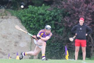 Go Ahead Adult Hurling League Division One South vs St Naomh Olaf