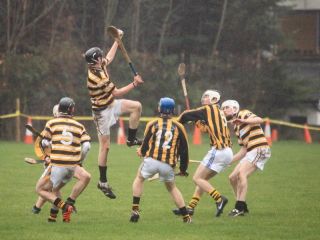 2012_02_04_24895w