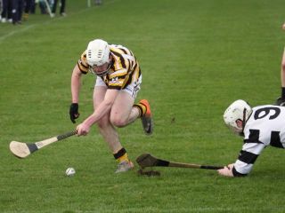2012_02_19_26594w