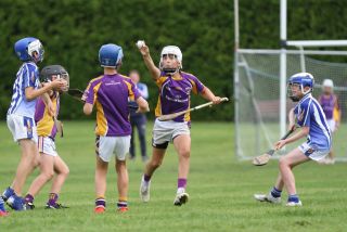 U12 Hurlers vs Ballyboden