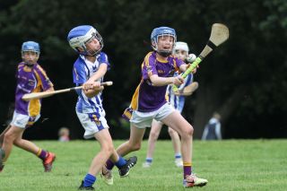 U12 Hurlers vs Ballyboden