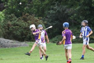 U12 Hurlers vs Ballyboden