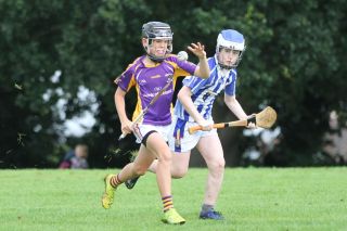 U12 Hurlers vs Ballyboden