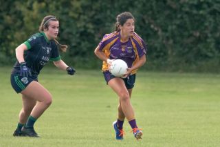 Ladies Football Go-Ahead Senior Championship Group A   Kilmacud Crokes Versus Fox cab